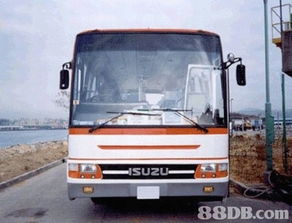 校車服務與多元用車解決方案 從專營廠車到婚禮花車的一站式服務